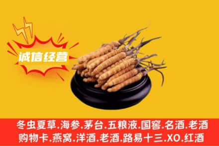 玉溪市澄江回收冬虫夏草